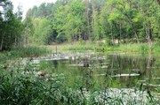 Zbiornik retencyjny w lesie w województwie lubuskim