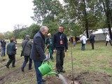 Jubileusz 200 drzew na 200 lecie Parku Mużakowskiego