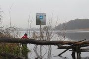 Realizacja działań ochronnych w obszarze ochrony ptaków Natura 2000 Jeziora Pszczewskie i Dolina Obry 