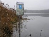 Realizacja działań ochronnych w obszarze ochrony ptaków Natura 2000 Jeziora Pszczewskie i Dolina Obry 