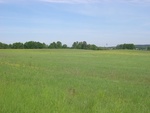 Odłogowane pola w rejonie Łagówka w powiecie świebodzińskim