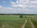 Urozmaicony krajobraz rolniczy w rejonie Jemiołowa w powiecie świebodzińskim