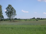 Urozmaicony krajobraz rolniczy w rejonie jemiołowa w powiecie świebodzińskim
